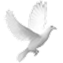 Terre Haute Catholic Charities Foodbank Inc logo