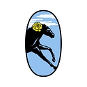 Logo for the-sleeper.com