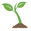 The Sprout Academy logo
