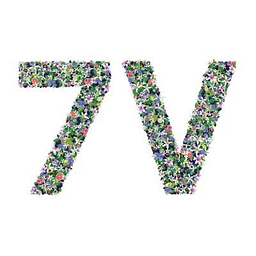 The 7 Virtues logo