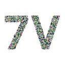 The 7 Virtues logo