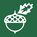 The Acorn - a School for Young Children logo