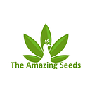The Amazing Seeds