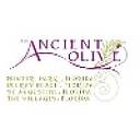 The Ancient Olive logo