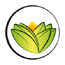The Ayurveda Experience UK logo