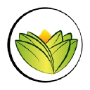 The Ayurveda Experience UK logo