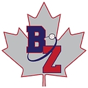 The Baseball Zone logo