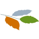 The Beeches Ltd logo