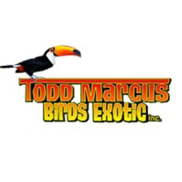 Todd Marcus Birds Exotic logo