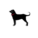 Theblackdog