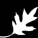 The Blackoak Group Llc logo