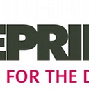The Blueprint It Consultancy Group logo