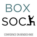 theboxsock.com logo