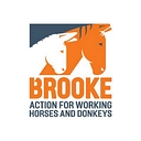 THE BROOKE logo