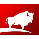 The Buffalo Group logo