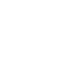 THE BURDINE JOHNSON FOUNDATION logo