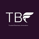 The Business Fairy Digital Marketing Agency logo