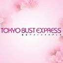 The Bust Specialist logo