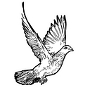 The City Ny logo