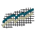 The Consulting Team logo