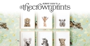 Logo for thecrownprints.com