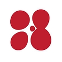 The Cynefin Company (Formerly Cognitive Edge) logo
