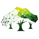 The Data Forest