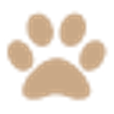 The Doggy Kitchen