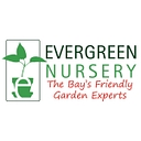 theevergreennursery.com icon