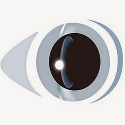 theeyeclinicsurgicenter.com