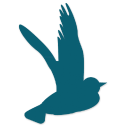 The Fledgling Fund logo