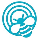 The Focus Bee