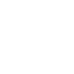 The Foleck Center logo