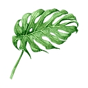 The Ginger Companies logo