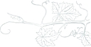 The Groton Inn logo