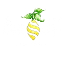 The Grove Cucina & Wine
