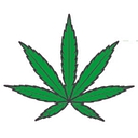 The Healing Clinics, Llc logo