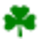 The Hibernian Society of Savannah logo