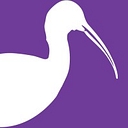 The Ibis Network logo
