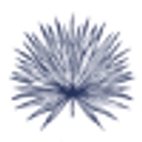 The Islands of Islamorada