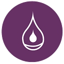 The Iv Wellness Boutique logo