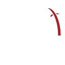 THE JAYSON TATUM FOUNDATION logo