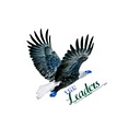 The Leaders Innovative Growth Solutions Llc logo