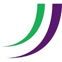 The Learning Curve Institute logo