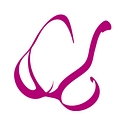 Favicon of The Little Bra Company