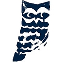 thelittleowlnyc.com icon