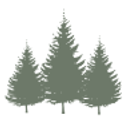 The Little Spruce Home