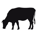 The Meatery logo