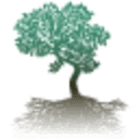 The Mindfulness Clinic logo