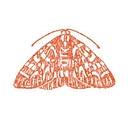 The Moth logo